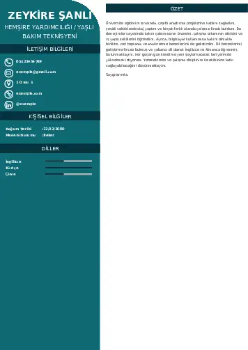 Hasta ve Yaşlı Bakım Elemanı Cv Örnekleri cv indir